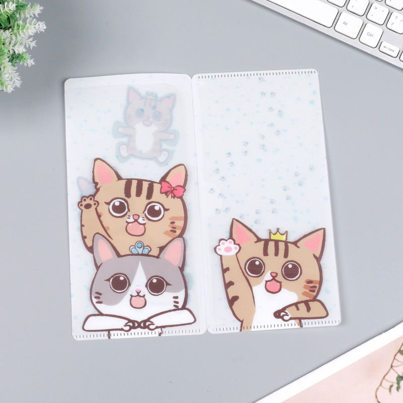 彩色膠 Folder/文件袋